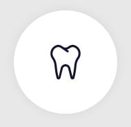 Tooth-e8e8e8 Tooth-e8e8e8