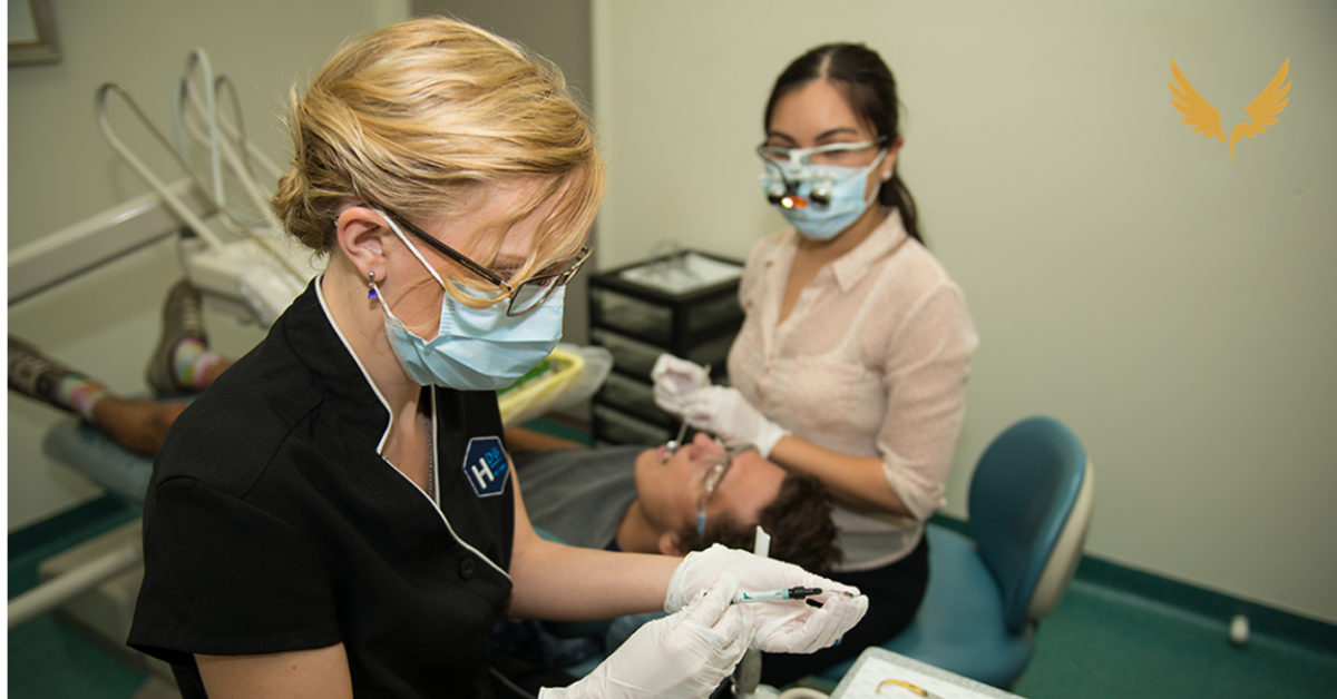 Female Dentists working on patient