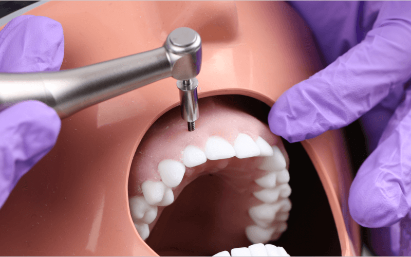 FAO Ortho image 800x500