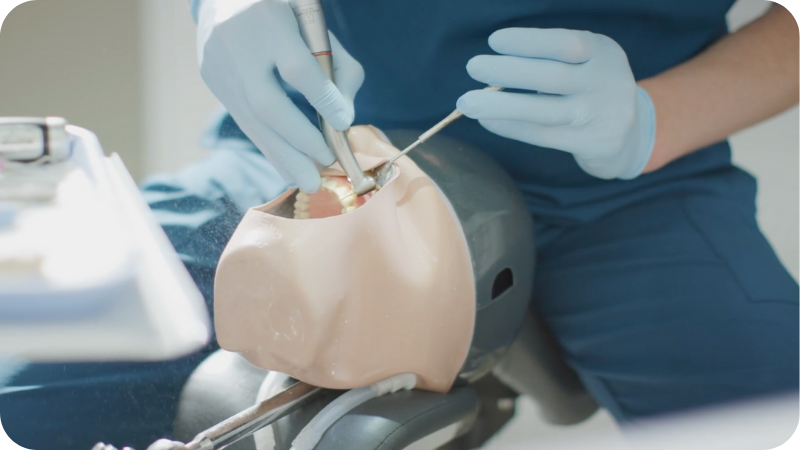 Fellowship in Restorative Dentistry Simulation Kit