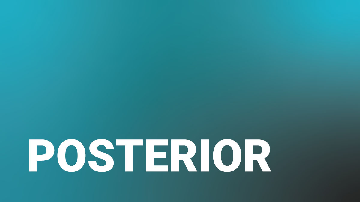 Posterior Dental Training Videos