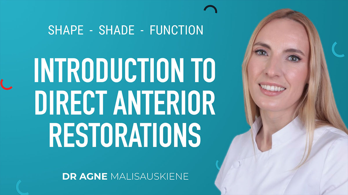 Shape Shade & Function
