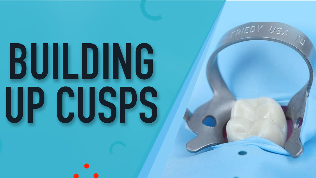 Building Up Cusps